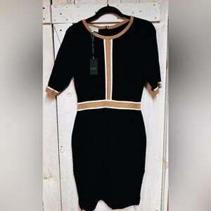 Beautiful and classy Hobbs Black and Tan Dress. Purchased it in London.